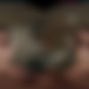 [VRHush.com] Lana Smalls - A Step Too Far (59386) [2025-05-21, Blow job, Close ups, Cowgirl, Reverse cowgirl, Creampie, Chestnut, Doggy style, Hardcore, Missionary, Standing missionary, Masturbation / fingering, Small tits, Trimmed pussy, Pierced navel, Tattoo, American, SideBySide, 4096p, SiteRip] [Oculus Rift / Vive] thumb