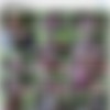 [RawFuckClub.com] Shane Frost and Tate Ryder [2013 ., Anal/Oral Sex, Bareback, Rimming, Muscles, Tattoos, Cumshots, SiteRip] thumbnail