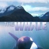 The Whale [2011] / H264 / MKV / WEB / 1080p / AC3 / Subs / alfaHD thumb