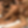 [Transsex] Wild Shemale Orgies-Kinky Shemale Orgy /   -   (WildShemaleOrgies.com) [2008 ., (Shemale/Trans), SiteRip 720p] thumbnail