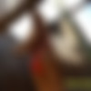 [Hidden-zone.com] /   [2011 ., Voyeur, CamRip] thumbnail