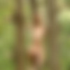 [domai.com]  2009 (25 ) thumbnail
