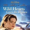 Wild Hearts Can't Be Broken (1991) 480p DVD MPEG AC3 REMUX-ChessRips thumb