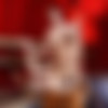 [Str8ToGay.com / Men.com] Cheating Husband Part 4 (Connor Halstead, Johnny Rapid) [2016 ., Muscle, Young Men, Anal/Oral Sex, Big Dick, BlowJob, Cumshots, Masturbation, 720p] thumb