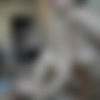 [2011 ., Homemade, Oral Sex, CamRip] thumb