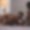 [NoirMale.com] I'm Waiting (DeAngelo Jackson, Dominic Pacifico) [2020 ., Anal Sex, Sperm, Bareback, Handjob, Blowjob, Deep Throat, Muscular, Interracial, Black, Big Dick, 720p] thumb