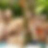 [FuckerMate.com] Victor Rom and Sergi Rodriguez [Iced Cum Shower] [2017 ., Anal Sex, Bareback, Big Dick, Blowjob, Cumshot, Facial, Hairy, Kissing, Latinos, Masturbation, Muscles, Outdoors, Piercing, Rimming, Tattoos, Uncut., 720p] thumb
