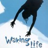 Waking Life 2001 DVD9 NTSC AC3 5 1 thumb
