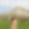 [Nude-in-russia.com] Nude In Russia 2015-03  [Softcore, Exhibition (Exhibitionism)] [2700*1800, 845 , 9 ] thumbnail
