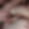 [Staxus.com] Young brit gets a traditional Czech welcome (Twink Hotel Scene #1) (Jace Reed, Leo Ocean, Roman Smid) [2015 ., Group Sex, Threesome, Blowjob, Anal Sex, DAP, Bareback, Big Dick, Rimming, Tattoos, Kissing, Masturbation, Cumshots, Twinks, 720p] thumb