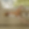 [YoungLegalPorn.com/ WowFandom.com] Nomi (No Secrets / 23.09.13) [2013 ., Blonde, Masturbation, Shaved Pussy, Small Tits, Solo, Stockings, 1080p] thumb
