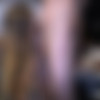 [DancingBear.com / BanBros.com] The Dancing Bear Makes Those Panties Wet!! (11.02.2015) [All sex, Amateur, Orgy, Blowjob, Facial, Hardcore, 1080p, HDRip] thumb