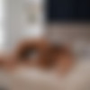 [SeanCody.com] SC-2619 Brock & Ace: Bareback [2019 ., Anal Sex, Bareback, Big Dick, Blowjob, Cumshots, Interracial, Kissing, Masturbation, Muscles, Tattoos., 720p] thumb