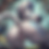 [ART] ShadyFoxAIart Collection /   ShadyFoxAIart [AI, Futa/Shemale, Kemonomimi, Neko/Catgirl, Anal, Blowjob, Big Ass, Big Tits, Huge Cock, Shemale-on-Shemale, Group Sex, Masturbation] [JPG] [eng] thumb