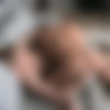 [SeanCody.com] SC-1521 Abe & Joshua: Bareback [2012 ., Anal Sex, Bareback, Blowjob, Cumshots, Deep Throat, Facial, Fingering, Hardcore, Kissing, Masturbation, Muscles, Tattoos., 720p] thumb
