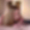 [teenytaboo.com] (62 ) Pack [2022-2025, Amateur, Blowjob, Creampie, Doggystyle, Natural Tits, Straight, Teen, 1080p, 2160p] thumb