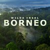 Wilde Insel Borneo 2019 German DOKU 720p WEB H264-CLASSiCALHD thumb