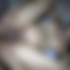 [LadyboysFuckedBareback.com] My Chubby Butt Pushed In Creampie [2014 ., asian ladyboy, anal bareback hadrcore, plug, anus licking, 720p, SiteRip] thumb