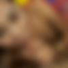 [LadyboysHeaven.com] Ladyboys Heaven Feat. Tongta (29.06.14) [2014 ., Ladyboy, Transsexual, Hardcore, Anal, Bareback, 1080p, SiteRip] thumb