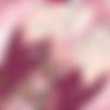 Crimson Keep 1-7 (Introspurt) [uncen] [2019 - 2021, RPG, Animation, Blowjob, Creampie, Deamon, Elf, Group, Kitsune, Monster Girl, Slime, Succubus, Titsjob, Virgin, X-Ray, Flash] [eng] thumbnail