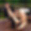 [RagingStallion.com] Member Bonus - Retreat: Jesse Santana & Trent Locke [2014 ., Anal/Oral Sex, Muscle, Hairy, Butt Play, Rimming, Fingering, Outdoor, Cumshots, Masturbation, 720p] thumb