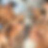 [SeanCody.com] SC-2121 Daniel & Lane: Bareback [2016 ., Anal Sex, Bareback, Big Dick, Blowjob, Cumshots, Facial, Fingering, Hairy, Kissing, Masturbation, Older/Younger, Outdoors/Indoors, Tattoos, Twink., 720p] thumb
