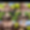 [NeuralDesires] All scenes up to November 2025 (AI, 1080p) thumb