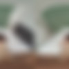 [CzechVRCasting.com] Dragon Fruit - My First VR Experience (CzechVRCasting 252) [19.05.2025, Big Pussy Lips, Blowjob, Brunette, Casting, Close ups, Cowgirl, Cum in Mouth, Czech, Fitness, Flatiron, Hardcore, Kissing, Lingerie, Long Hair, Missionary, Pale Skin, Panties, Petite, POV, Prone Bone, Reverse Cowgirl, Shaved, Sideways Cowgirl, Skinny, Spoon, Teasing, Teeny, Tiny, Wet Pussy, Virtual Reality, SideBySide, 8K, 3840p, SiteRip] [Oculus Rift / Quest 2 / Vive] thumb
