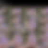 [DeliaCD.com / DeliaTS.com] Delia DeLions (178 ) [2004-2008 ., Shemale, Solo, Masturbation, CamRip] thumbnail