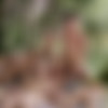 [Staxus.com] Sunny Daze Scene #3, Pt.1,2 - Four Horny Dudes Take The Drive Of Their Lives For Hard Cock! 1,2 (Kris Blent, Ray Mannix, Ruben Bart, Xavier Sibley) [2015 ., Anal/Oral, Bareback, Cumshots, Facial, Foursome, ..., Twinks, Uncut, 720p] thumb