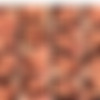 .  . [WebCam, Solo, Masturbate, SiteRip, CamRip] thumb