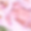 [TGirls.xxx] Sarina Valentina / Sarina Valentina Returns! (25 Dec 2017) [2017 ., Shemale, Solo, 720p, SiteRip] thumb