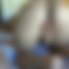 [ATKGirlfriends.com] Blair Summers (Phoenix, AZ 3/3) [2015 ., Creampie, Blowjob, Footjob, Orgasm, Vibrator, Black, POV, All Sex, 1080p] thumb