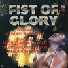 Fist of Glory [1991] / MPEG2 / VOB IFO / DVD / SD / AC3 / NOGROUP thumb