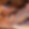 [Staxus.com] Cuddle Up 2, Sc.2: Bath-Time Buddies Get Soapy & Spunky With A Hard, Raw Fuck! / 4266 (Bjorn Nykvist, Julian Fox) [2017 ., Blowjob, Anal, Bareback, Big Dick, Rimming, Fingering, Riding, Masturbation, Kissing, Cumshot, Twinks, 720p] thumb