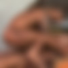 [TitanMen.com] Rent: Dallas Steele & David Benjamin [2016 ., Anal/Oral Sex, Muscles, Cumshots, Tattoos, Piercing, Big Dick, Rimming, 1080p] thumb