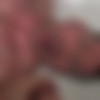 [Str8Chaser.com / RealityDudes.com] Beau (Beau Warner) [2016 ., Anal Sex, Blowjob, Muscles, POV, Posing, Facial, Cumshots, 720p] thumb