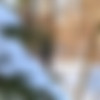 [PeeHunters.com]    (16 ) [2015-2016 ., Teens, Pissing, Outdoor, Russian, 720p, 1080p] thumbnail