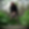 [Pisswc.com / tualet.net ]        -   pisswc   Pisshunters.com [2003-2013 ., Voyeur, Peeing, 720p, 576p, 540p, SiteRip] thumbnail