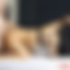[HelloLadyBoy.com] Sweetie / TS Sweetie (22 Feb 2019) [2019 ., Shemale, Ladyboy, Asian, Hardcore, Anal, POV, 1080p, SiteRip] thumb