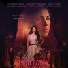 Perfectly Imperfect 2025 DUTCH 1080p WEB h264-TRIPEL thumb