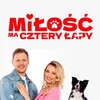 Miłość ma cztery łapy [2025] / H264 / MKV / WEB / 1080p / AC3 / Polish / PTTrG thumb