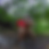 ,    [2020 ., Amateur, Russian., CamRip] thumb