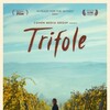 Trifole 2024 BluRay 1080p ReMuX AVC DTS-HD MA 5 1-RFX thumb