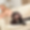 [OnlyOpaques.com] Only Opaques /   -   2014  [Erotic, Solo, Pantyhose, Stockings, Nylon, Panty, Lingerie, Uniform, Secretary, School, Mini, Maid, Knickers, Socks, Softcore, OnlyTease, No Sex] [3000x2000, 277 , 36541 ] thumbnail