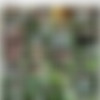 [ATKGirlfriends.com] Elena Koshka (Singapore #3 1/4) [2018 ., POV, Piss, Orgasm, Masturbation, 480p] thumb