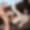 [KristenBjorn.com] Casting Couch #343: Felipe Ferro, Jose Quevedo [2015 ., Anal Sex, Bareback, Blowjob, Flip-Flop, Hairy, Kissing, Muscles, Masturbation, Rimming, Uncut., 720p] thumb