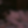[JoyBear.com] Belle O’Hara & Eva Ray - Primal Scream (03.03.22) [2022 ., Lesbians, Toy, 1080p] thumbnail