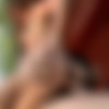 [ClubSandy.com / 21Sextury.com] Bellina (Wild Ride) [23.03.2010, Brown Haired, Natural Tits, Oral, Hardcore, Facial, 1080p] thumb