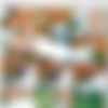 [2015 ., Amateur, CamRip] thumb